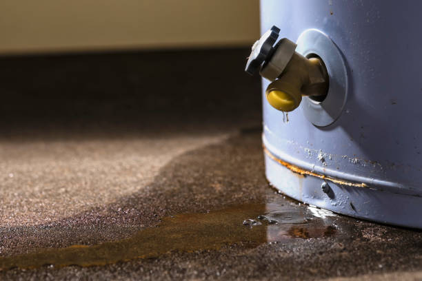 Best Mold removal after water damage  in Brookhaven, PA