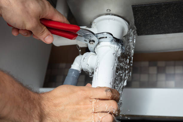 Best Water damage cleanup near me  in Brookhaven, PA