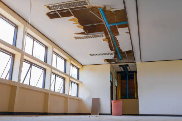 Trusted Brookhaven, PA Water damage restoration Experts