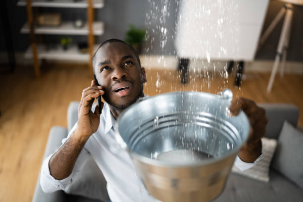 Best Commercial water damage restoration  in Brookhaven, PA