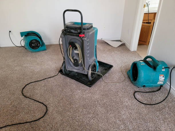 Best Water damage restoration near me  in Brookhaven, PA