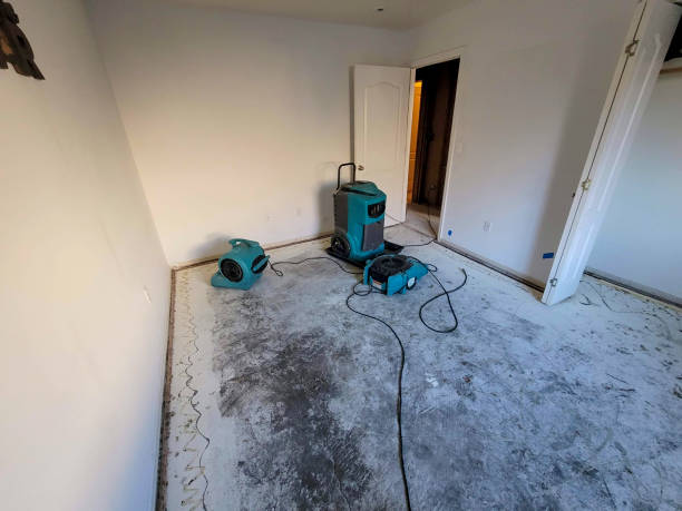 Best Professional water damage repair  in Brookhaven, PA