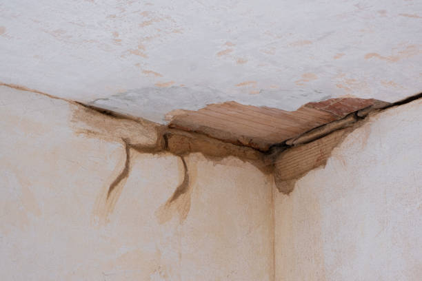 Best Water damage restoration near me  in Brookhaven, PA