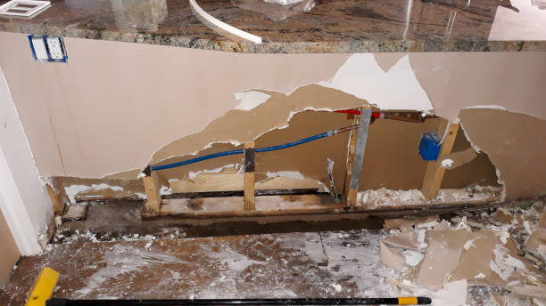 Best Residential water damage restoration  in Brookhaven, PA