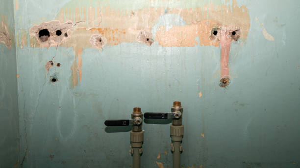 Best Flooded house restoration  in Brookhaven, PA