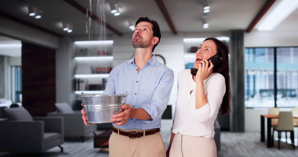 Best 24-hour water damage restoration  in Brookhaven, PA